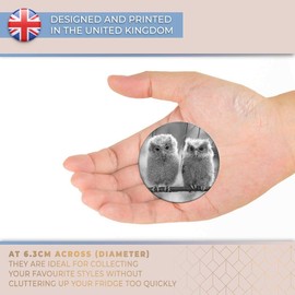 Destination Vinyl ltd Magnet for Refrigerator, Fridge BW - Cute Baby Owls Wild Nature for Office, Cabinet and Whiteboard, Magnetic Stickers, 38266