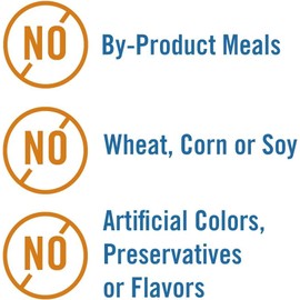 Chicken Soup for the Soul Pet Food Classic Wet Adult Cat Food, Chicken Shreds Dinner, 5.5 Ounce Can (Pack of 24) | Soy Free, Corn Free, Wheat Free, Canned Cat Food Made with Real Ingredients