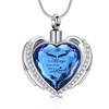 VCCWYQK Crystal Heart Urn Necklace for Ashes Urn Necklace Keepsake