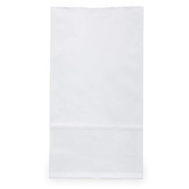 JAM PAPER 100% Recycled Snack/Lunch Bags - Small (4 1/8 x 8 x 2 1/4) - White Kraft Grocery Bags - 25/Pack