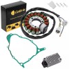 For Yamaha Stator Regulator Rectifier And Gasket Yamaha TTR225 1999-2004