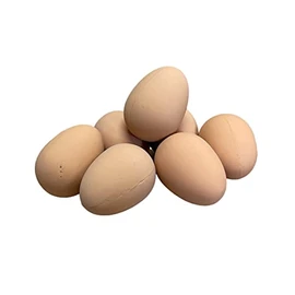 Imitation Chicken Poultry Hen Eggs [3 Pack] - Weighted Rubber Dummy Fake Eggs Helps Encourage laying or prevent eating eggs (3x Eggs)