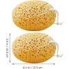 Esponja Exfoliante Corporal 2 pzs – Celda de Pan, absorbente,