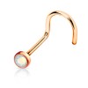 PiercedOff Rose Gold Tone IP over 316L Surgical Steel Nose