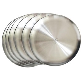 PHOJEWI 10 Inch Stainless Steel Dinner Plates Set of 6, Metal Food Tray Dishes Plates for Kids Feeding Serving Lunch Steak Plates Outdoor Camping Reusable Unbreakable and Dishwasher Safe