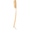 Earth Therapeutics "Far Reaching" Back Brush