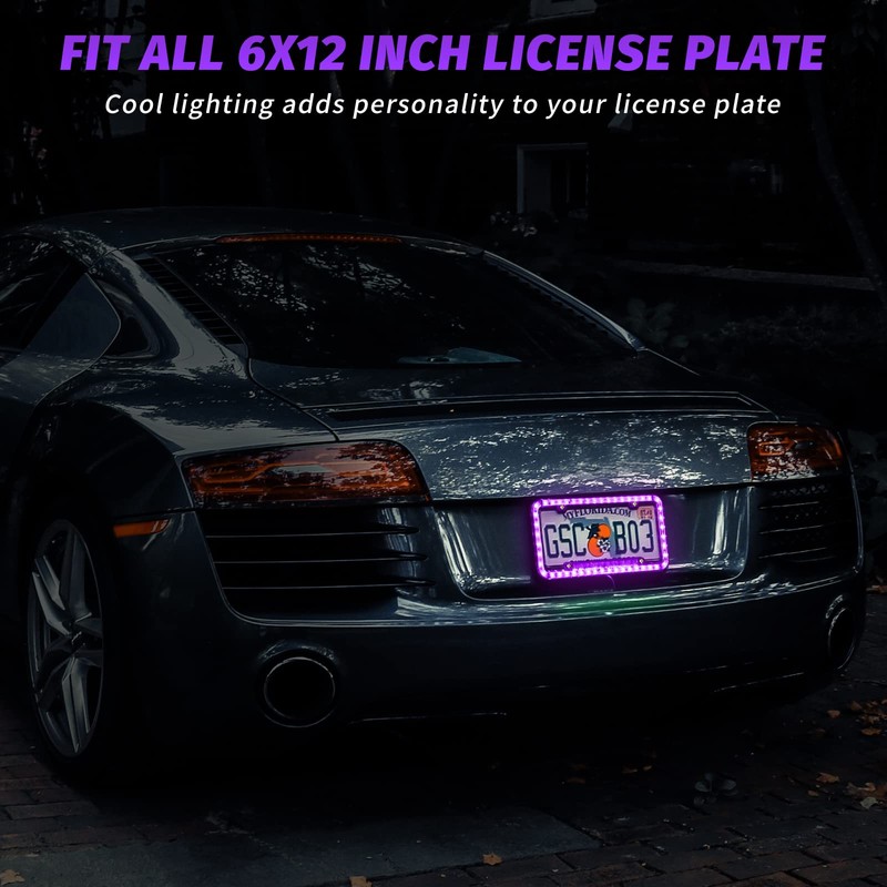 eing License Plate Frame Auto 12 V 54 LED Color
