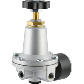 Fitting Parts Precision Pressure Regulator 550 l/min Pressure Regulator with Pressure Gauge (Thread: G 1/4 Inch - Pressure Control Range: 0.1-3 bar)