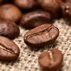 Olde World Coffee Company 2025  COLOMBIAN SUPREMO, 1 Bag FRESH ROASTED COFFEE - Gourmet Coffee Beans