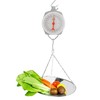 QWORK Precision Hanging Scale, 440lbs / 200kg Capacity, Dual Unit,