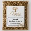Organic Bio Herbs-Dried Echinacea Root – Echinacea Purpurea Herbal Supplement