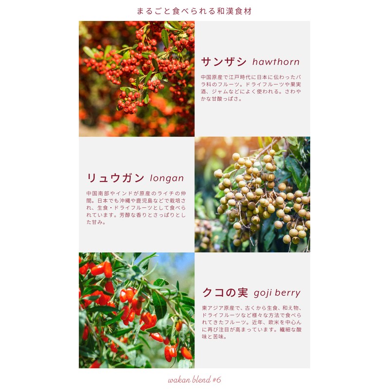 Labatee ラバティー 食べる和漢ほうじ茶ラテ 乳酸菌入 漢方茶 薬膳茶 健康茶 黒豆茶 フルーツティー はとむぎ茶