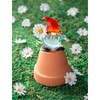 Ganz Crystal Expressions Garden Gnome Mini Figurine 2.5 Inch
