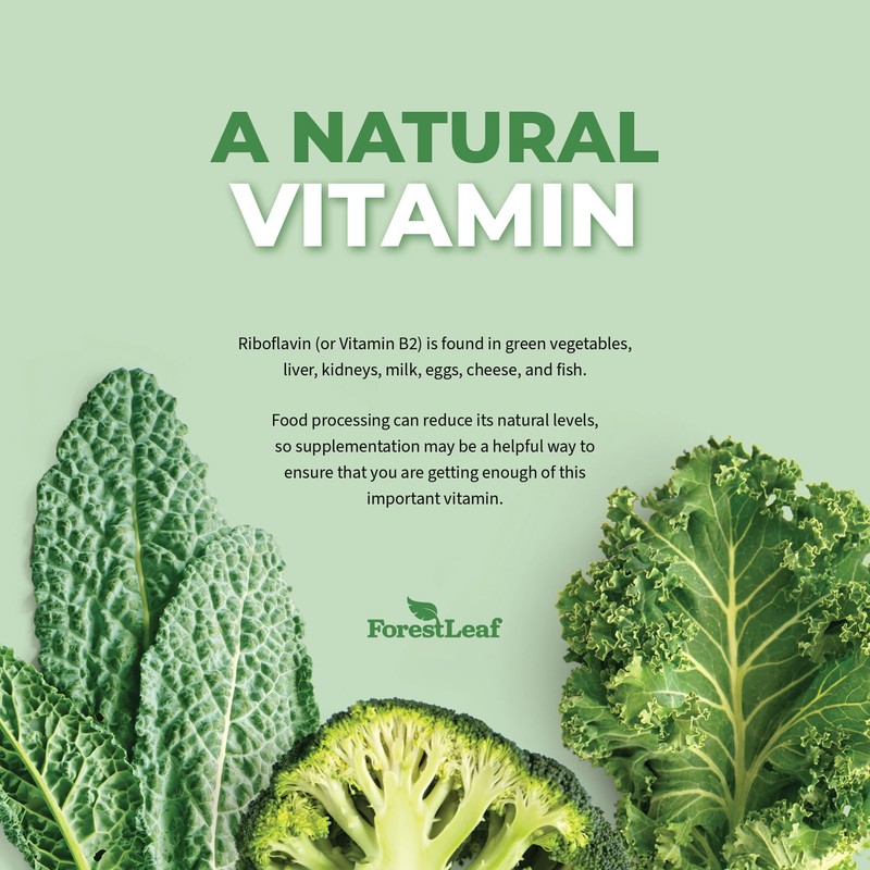 Vitamin B2 Riboflavin 400mg - Energy, Skin & Cellular Health
