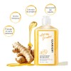 Champú Anticaída Quarxery Shampoo De Jengibre 240 Ml
