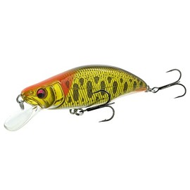 Megabass GH51 Humpback FS Jointer, Special Order Color, Yamame Gold Orange Head