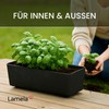 Lamela Rectangular Planter with Elegant Feet, Black Concrete Look Planter