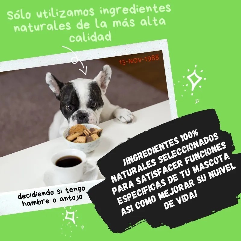 Detox 100% Natural De Uso Diario Para Perros Y Gatos