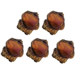 PurePet Chews for Dogs All Natural Beef Smoked Knee Caps with Meaty Bits Bulk Packs - 50 Knee Caps