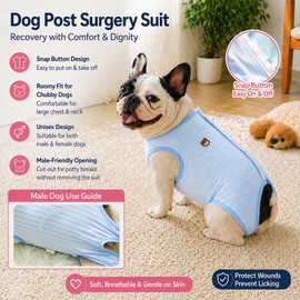 Paipeper French Bulldog Recovery Suit, Professional Dog Surgery Suit for Frenchie, Soft Breathable E-Collar Cone Alternative, Anti-Licking Abdominal Wound Protector for Spay Neuter(Blue-m)