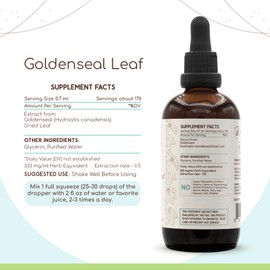 HerbEra Goldenseal Leaf B120 Alcohol-Free Herbal Extract Tincture, Super-Concentrated Responsibly farmed Goldenseal Leaf (Hydrastis Canadensis) Dried Leaf (4 fl oz)