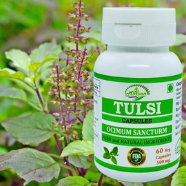 Morsan Nutraveda Natural and Pure Herbal OCIMUM Sanctum (Tulsi, Basil) Extract Capsules | Highest Potency, 100% Herbal Product | Pack of 60 X 500 mg. Veg. Capsules (4)