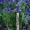 Henry Bukke's Best 5-Gallon Paint Stir Sticks – 10 Ct,