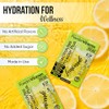 PowderVitamin Electrolytes Powder Plus, cetogénico, limonada, cero azúcar, 1000 mg