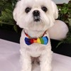 Blingbling Warmth Pet Collar Bow Tie & Tie, Comfortable Rainbow