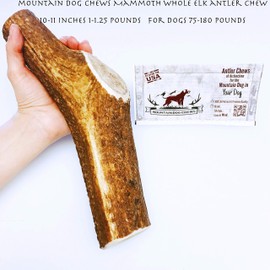 Mountain Dog Chews - Mammoth Whole Elk Antler - Elk Antler Dog Chew - Grade A Premium - Organic - Made in USA - No Mess