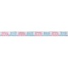 12ft Foil Gender Reveal Banner