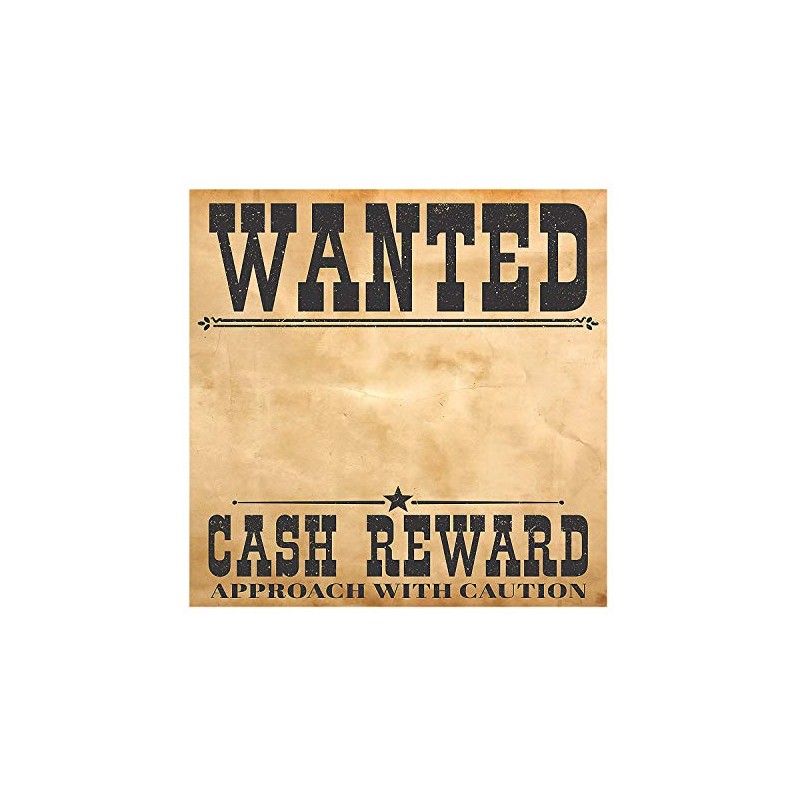 Fun Express Wanted Backdrop Banner - Party Decor - 2