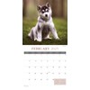 Puppy Love 2025 Large Wall Calendar, by Fresh Publishing, Size