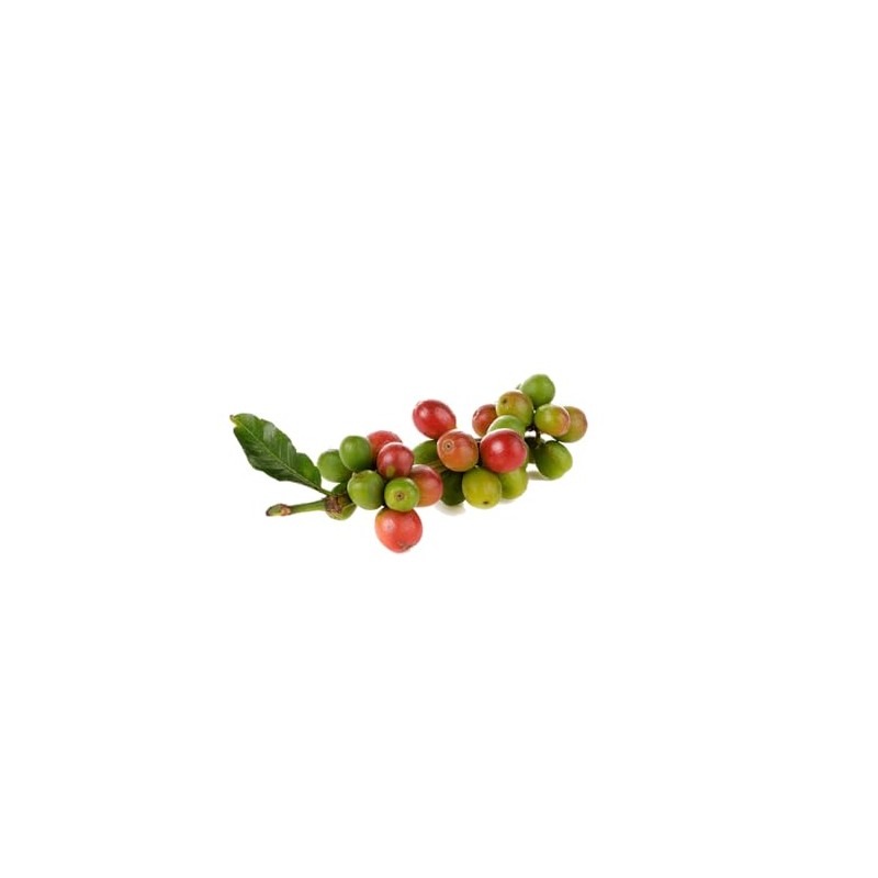 Miscela D'Oro Natura - Organic Fairtrade Espresso Beans, 2.2 lbs