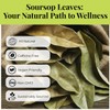 200+Dried Soursop Leaves, Hojas De Guanabana Secas, Dried Soursop Graviola