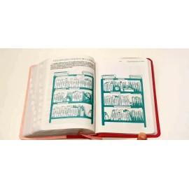 BIBLIA COMPACTA PIEL DUO/ROSA, INDEX con CONCORDANCIA y REINA VALERA 1960
