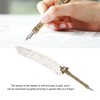 Feather Pen Set with 10 Interchangeable Nib Fire Lacquer Wax