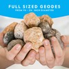 National Geographic Break Open 10 Premium Geodes – Includes Goggles
