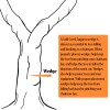 Cold Creek Loggers 6 - 5.5" USA HARD logging Felling
