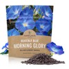 Morning Glory Seeds Heavenly Blue - Large 1 Ounce Packet