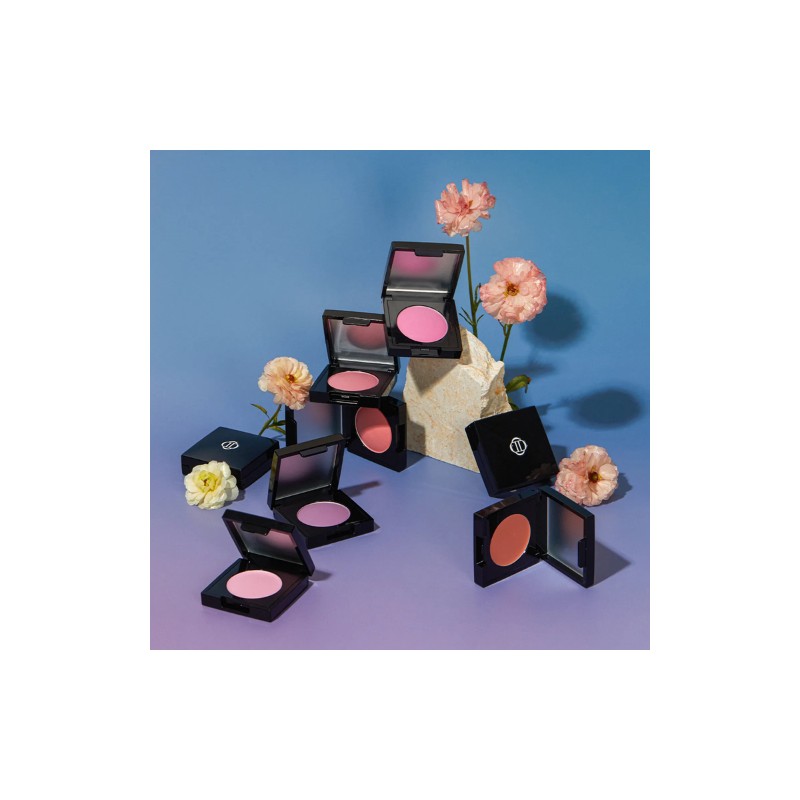 Dinto [Dinto]*Peter&Wendy* Be My Wendy Marshmallow & Melting Blusher #521