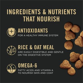 Purina Pro Plan Sensitive Skin and Stomach Cat Food Dry, Salmon and Rice Formula, High-Protein Dry Cat Food for Sensitive Stomachs 16 Pound (Pack of 1)