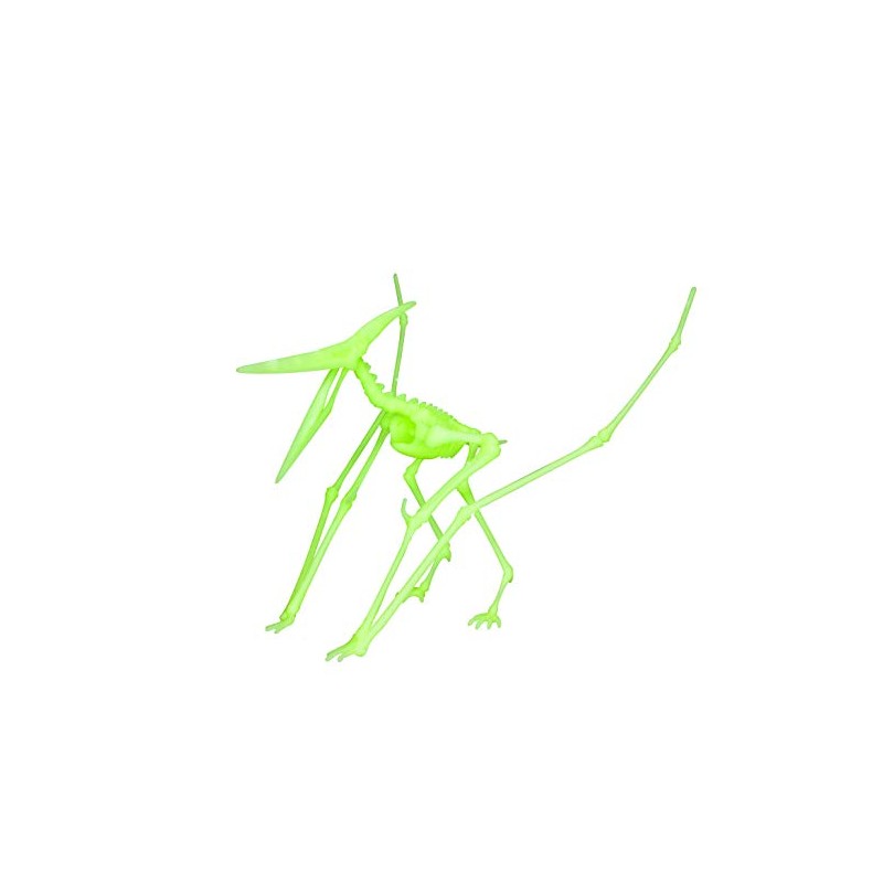 EDU-TOYS Pterodactylus Pterodactylus Glow-in-the-Dark Quick Kit