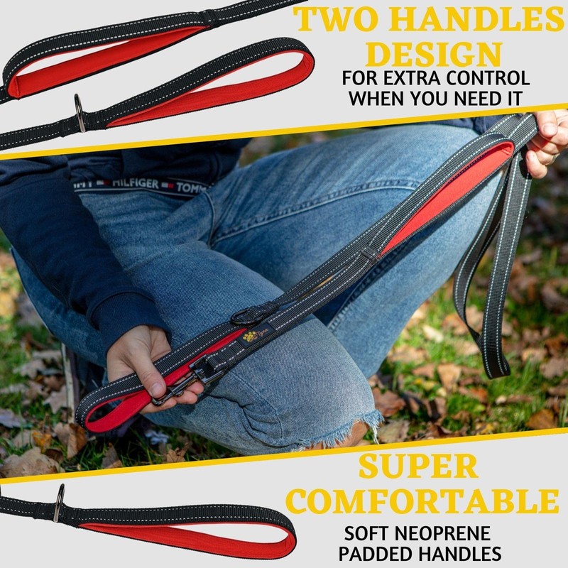 ADITYNA Comfortable 6 ft Black Dog Leash for Small, Medium,