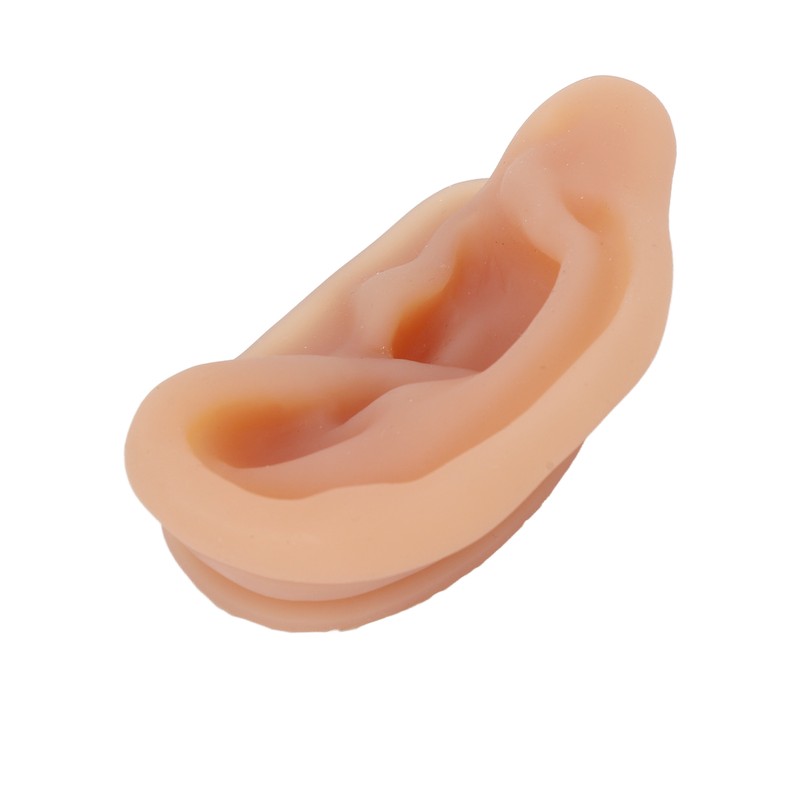 Silicone Ear Model Simulated Ear Model Acupuncture Practice Tool with