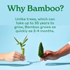 Caboo Bamboo Facial Tissues, 3 Ply Natural Bamboo Tissue Paper,