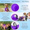 Eyein Dog Harness Small Dog - Lightweight Escape Proof Dog