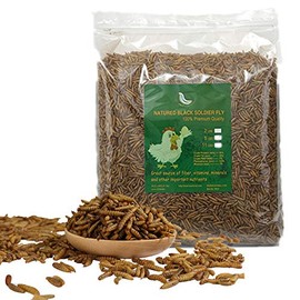 HANDPOINT 20LBS Black Soldier Fly Larvae Superior to Dried Mealworms for Chickens - Non-GMO - Treats for Birds Chickens Hedgehog Hamster Fish Reptile Turtles (20LB)