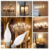 MMBGJKG Frosted Flame Tip Chandelier Light Bulb，e12 Candelabra Bulb 40