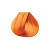 Kiss Tintation Semi-Permanent Hair Color 5 Ounce, T740 Rose Gold